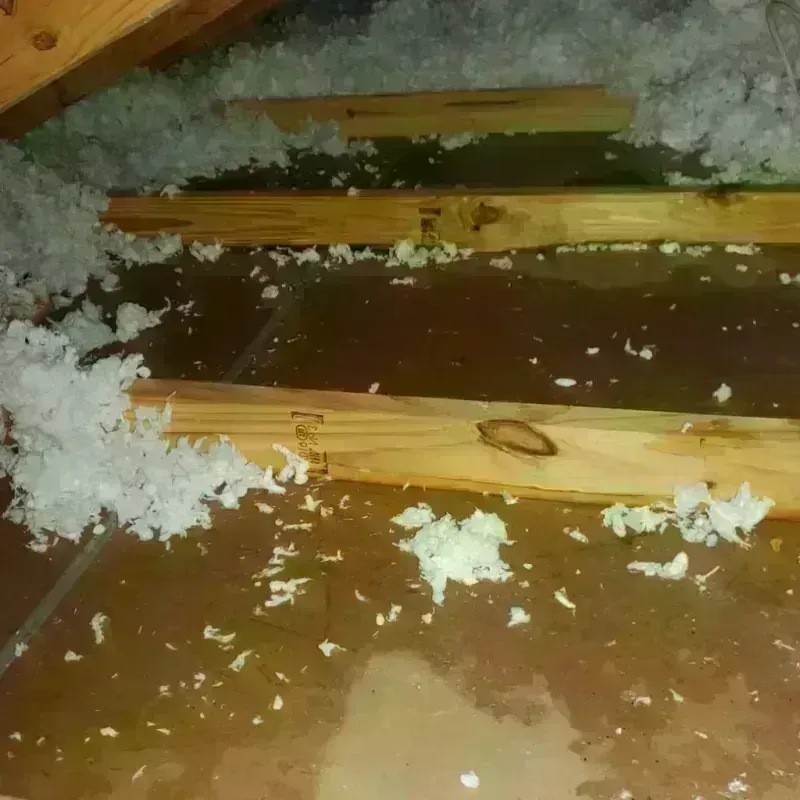 Attic Water Damage in New Bremen, OH