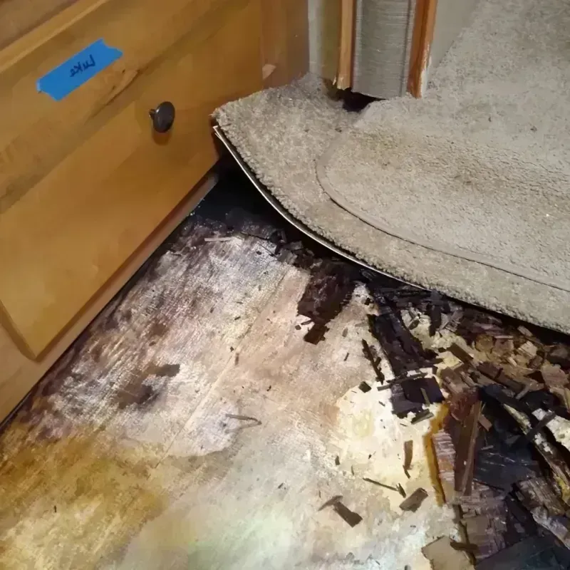 Wood Floor Water Damage in New Bremen, OH